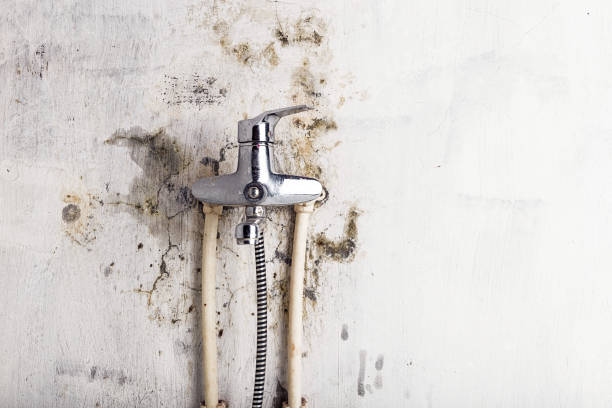 Best Residential Mold Removal  in Elmore, AL