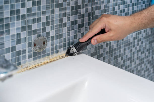 Best Commercial Mold Removal  in Elmore, AL